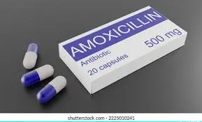  Amoxicillin